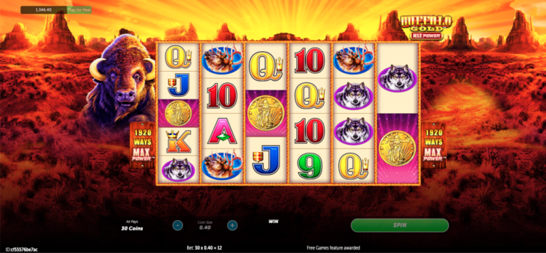 Screenshot-2024-12-23-at-3.29.14 PM-1024x474